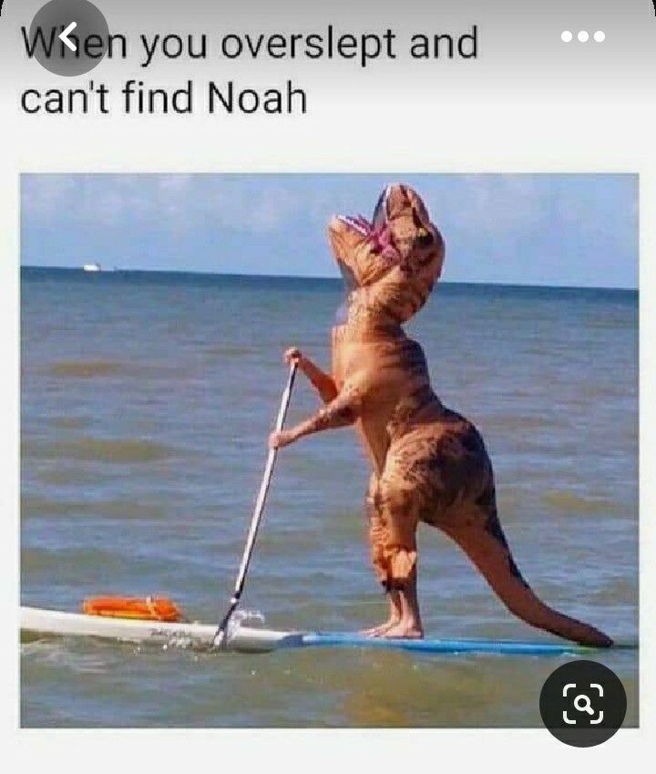 you overslept and cant find Noah