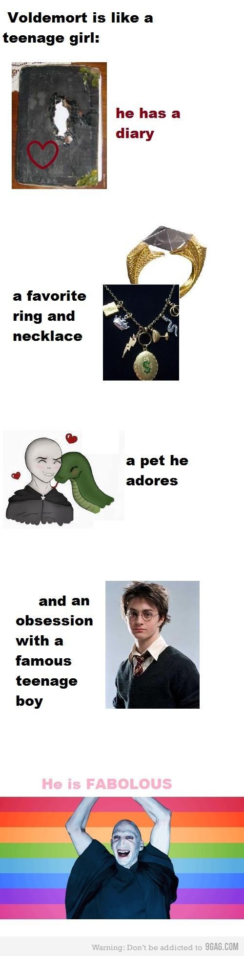 Voldemort is like a teenage girl he has a diary a favorite ring and necklace a pet he adores and an obsession with a famous teenage boy