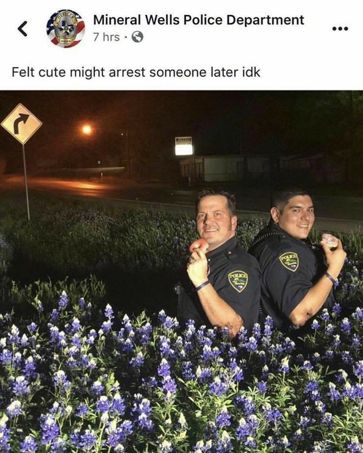 MmeraIWeIIs Police Department Felt cute might arrest someone later idk