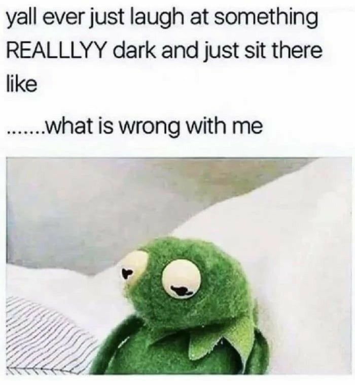 yall ever just laugh at something REALLLYY dark and just sit there like what is wrong with me