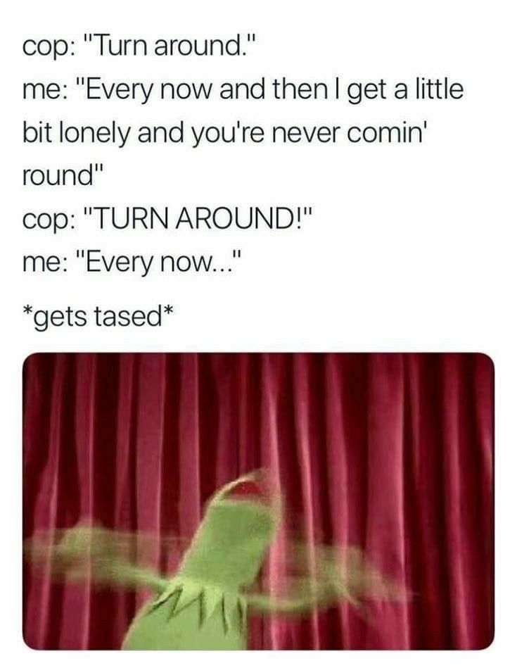 cop Turn around me Every now and then get a little bit lonely and youre never comin round cop TURN AROUND me Every now gets tased