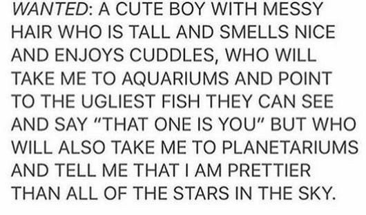 WANTED A CUTE BOY WITH MESSY HAIR WHO IS TALL AND SMELLS NICE AND ENJOYS CUDDLES WHO WILL TAKE ME TO AQUARIUMS AND POINT TO THE UGLIEST FISH THEY CAN SEE AND SAY THAT ONE IS YOU BUT WHO WILL ALSO TAKE ME TO PLANETARIUMS AND TELL ME THAT AM PRETTIER THAN ALL OF THE STARS IN THE SKY
