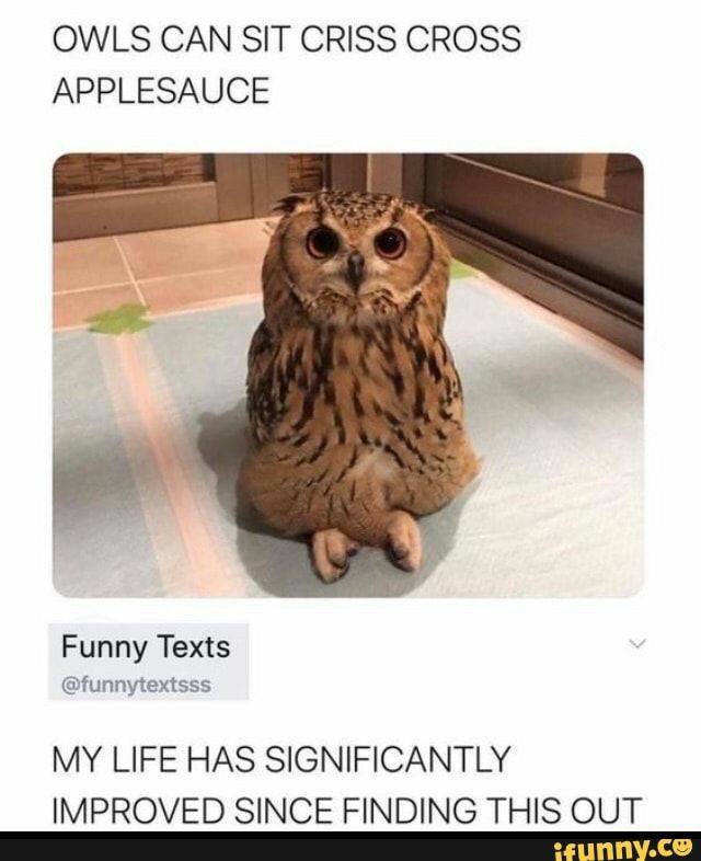 OWLS CAN SIT CRISS CROSS APPLESAUCE Funny Texts funnytextsss MY LIFE HAS SIGNIFICANTLY IMPROVED SINCE FINDING THIS OUT