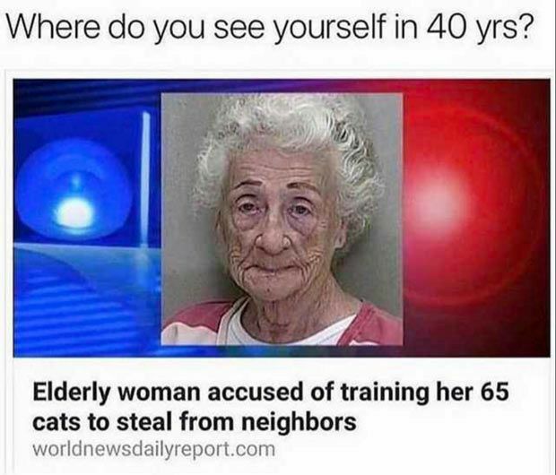 Where do you see yourself in 40 yrs Elderly woman accused of training her 65 cats to steal from neighbors