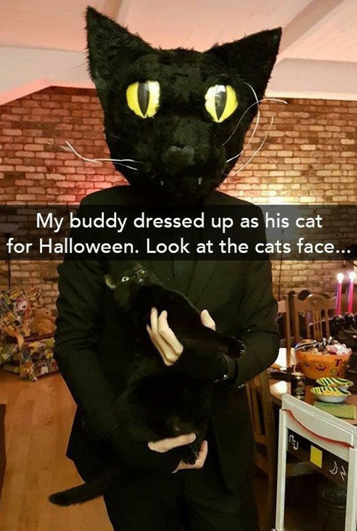 M Buddy dressed up as