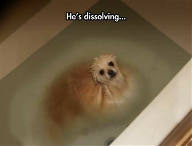 Hes dissolving o3 4