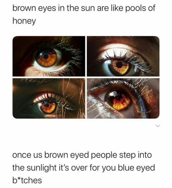 brown eyes in the sun are like pools of honey once us brown eyed people step into the sunlight its over for you blue eyed btches