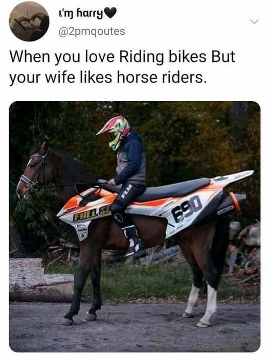 m harry 2pmqoutes When you love Riding bikes But your wife likes horse riders