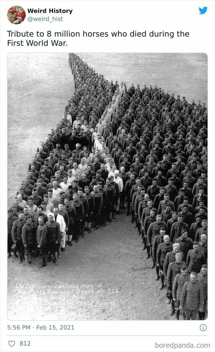 ewdrond v Tribute to 8 million horses who died during the First World War 556 PM Feb 15 2021 D 812