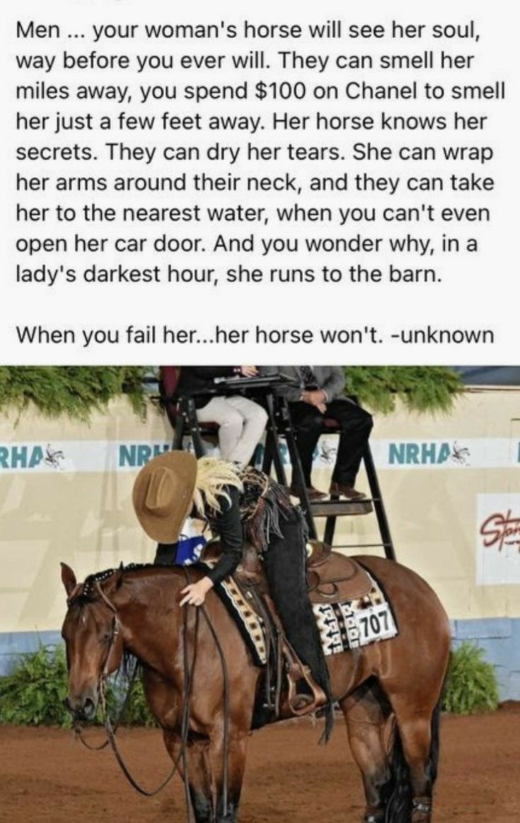 Men your womans horse will see her soul way before you ever will They can smell her miles away you spend 100 on Chanel to smell her just a few feet away Her horse knows her secrets They can dry her tears She can wrap her arms around their neck and they can take her to the nearest water when you cant even open her car door And you wonder why in a ladys darkest hour she runs to the barn When you fai