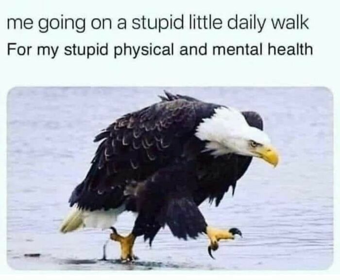 me going on a stupid little daily walk For my stupid physical and mental health