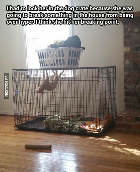 hadtoliockherinjtheldog cratelbecause she was goingtobreak somelhlng inithe house from belng