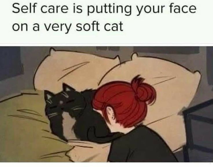 Self care is putting your face on a very soft cat
