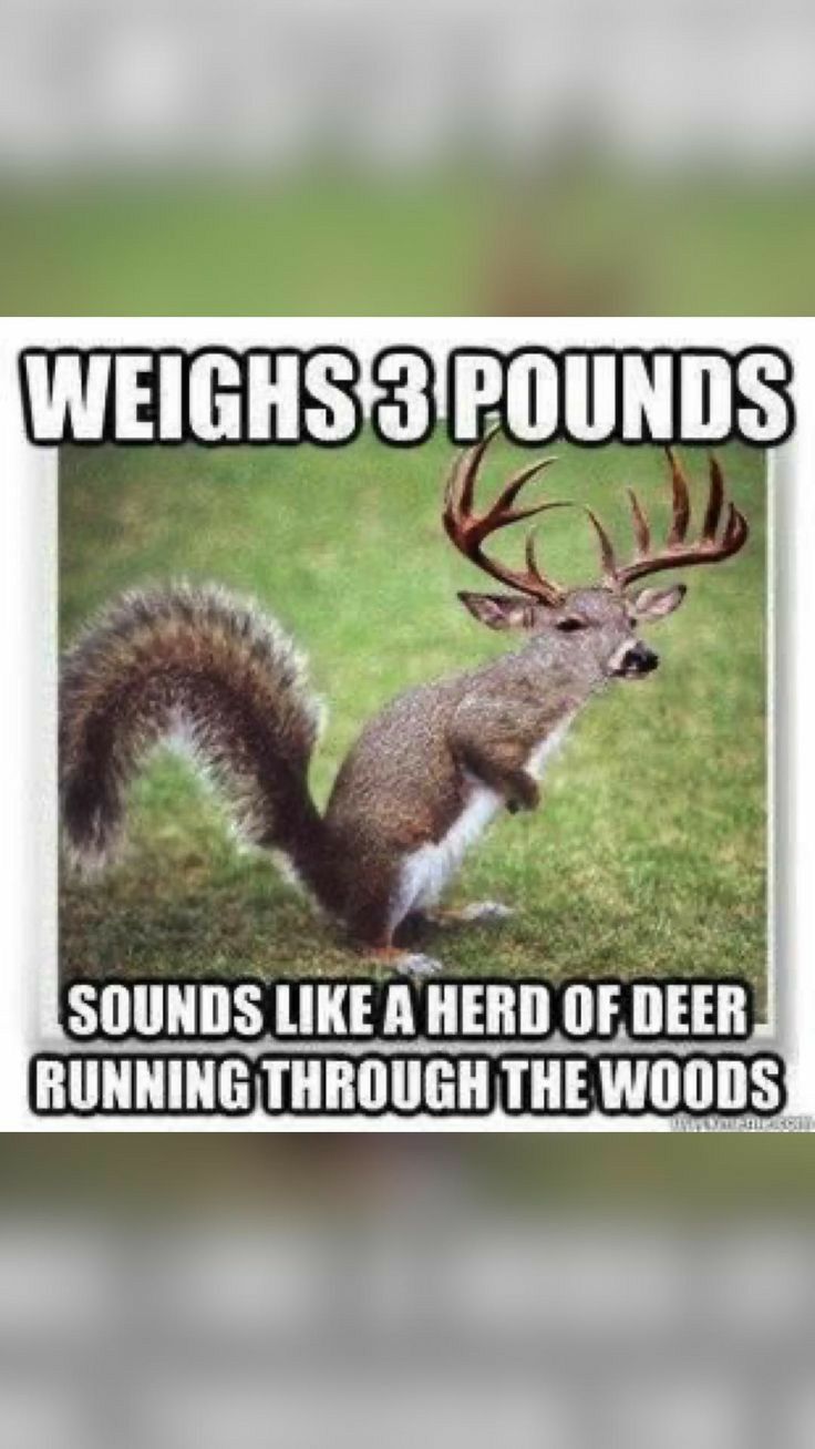 RUNNING THROUGHTHE WOODS