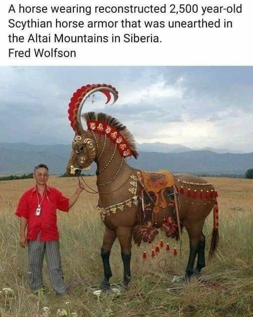 A horse wearing reconstructed 2500 year old Scythian horse armor that was unearthed in the Altai Mountains in Siberia Fred Wolfson