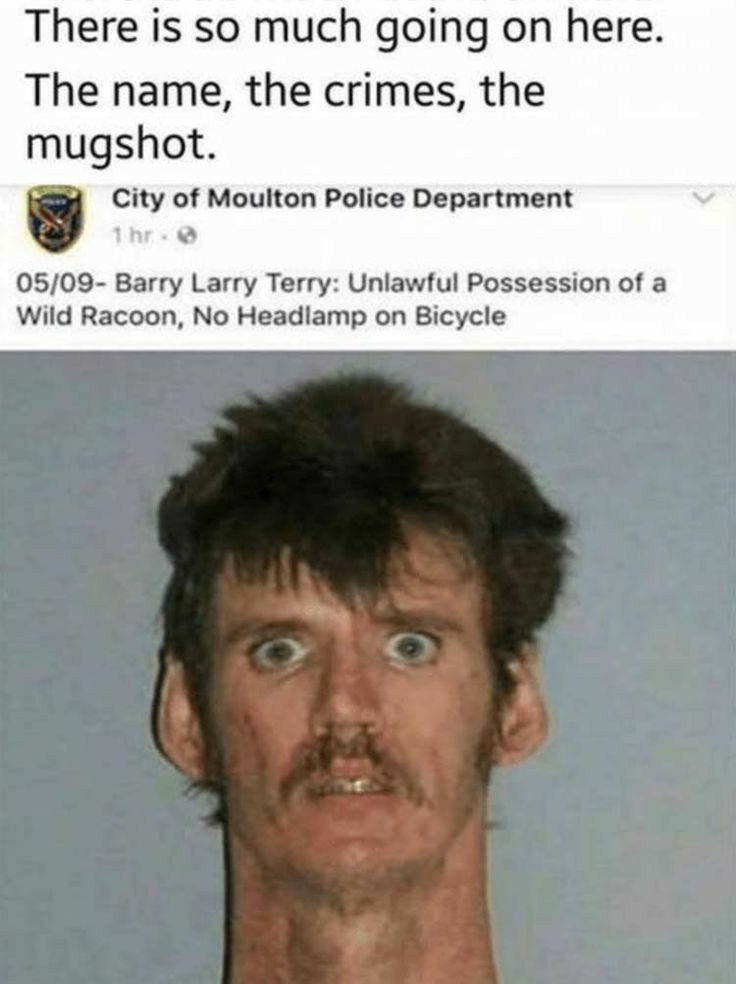 There is so much going on h The name the crimes the mugshot City of Moulton Police Department 0509 Barry Larry Terry Unlawful Possession of a Wild Racoon No Headlamp on Bicycle