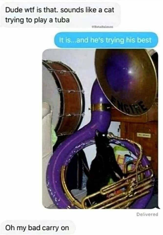 Dude wtf is that sounds like a cat trying to play a tuba Oh my bad carry on