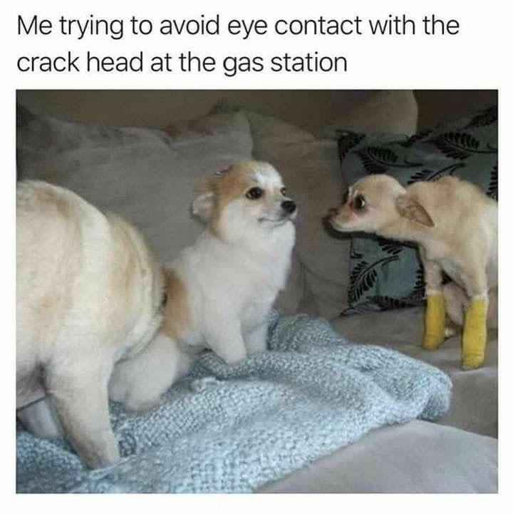 Me trying to avoid eye contact with the crack head at the gas station