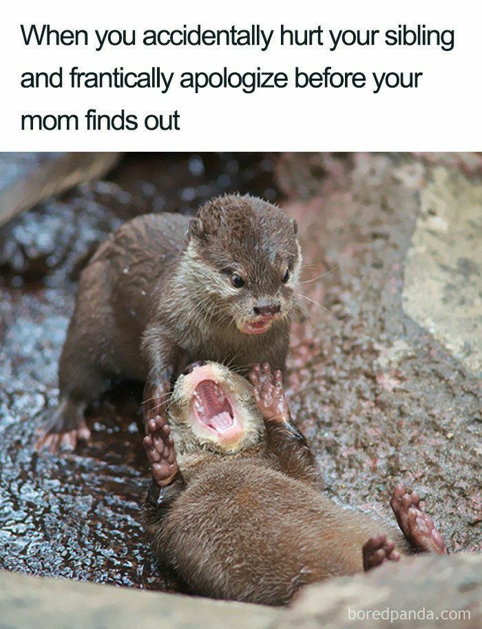 When you accidentally hurt your sibling and frantically apologize before your mom finds out