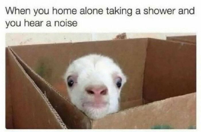 When you home alone taking a shower and you hear a noise