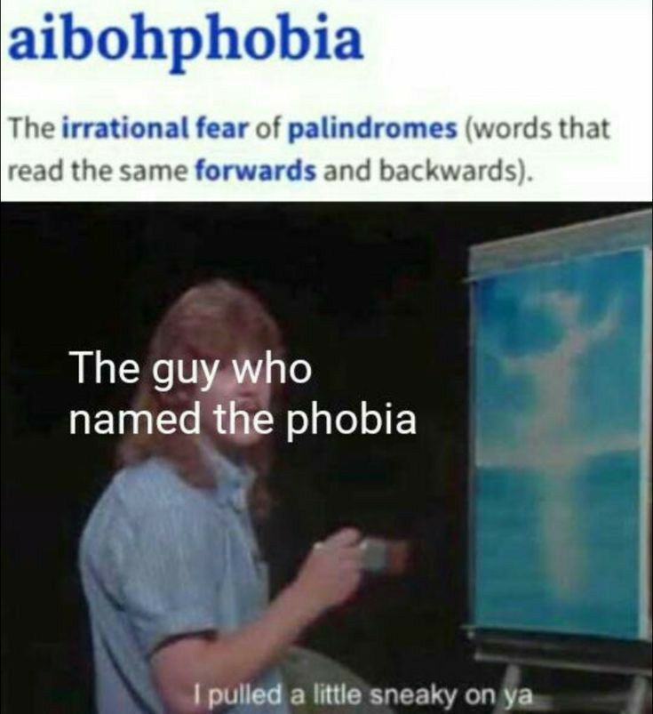 aibohphobia The irrational fear of palindromes words that d the same forwards and backwards LGN NAYGT QET T K1 TRe Tl o E I pulled a little sneaky on ya