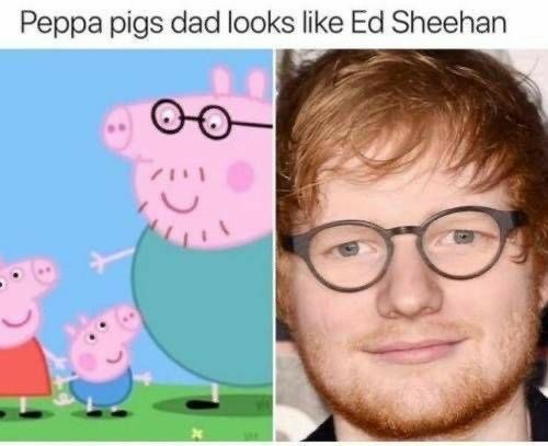 Peppa pigs dad looks like Ed Sheehan