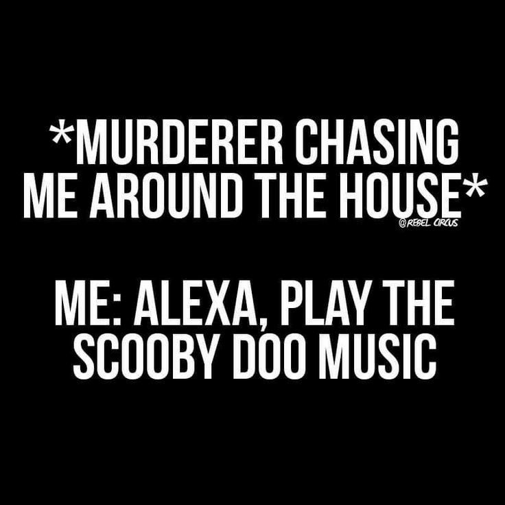 MURDERER CHASING ME AROUND THE HOUSE ME ALEXA PLAY THE SCO0BY DOO MUSIC