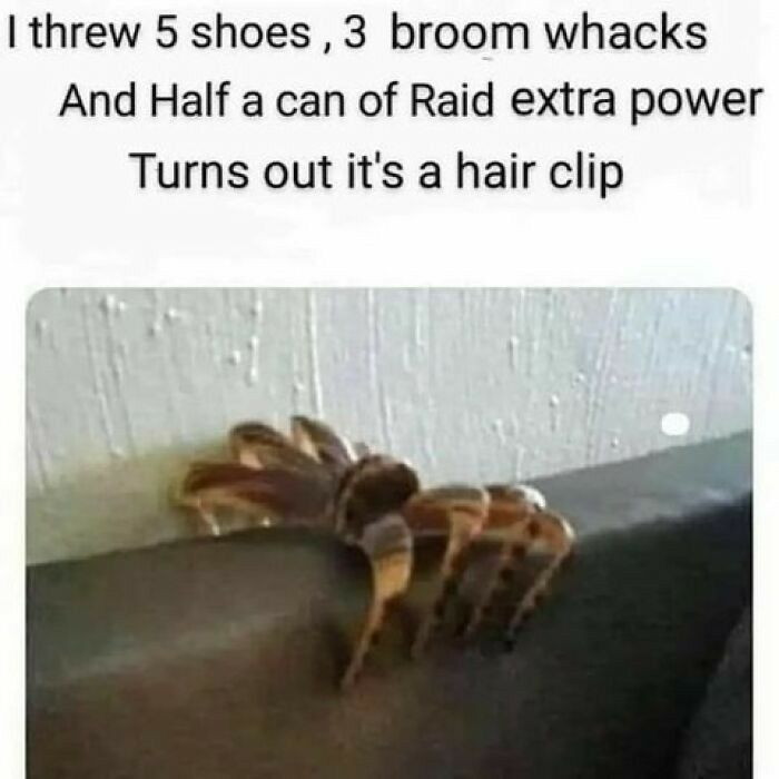 I threw 5 shoes 3 broom whacks And Half a can of Raid extra power Turns out its a hair clip