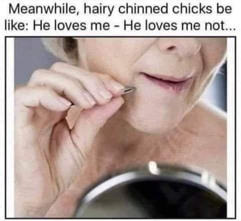 Meanwhile hairy chinned chicks be like He loves me He loves me not