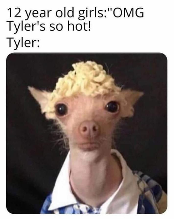 12 year old girlsOMG Tylers so hot Tyler