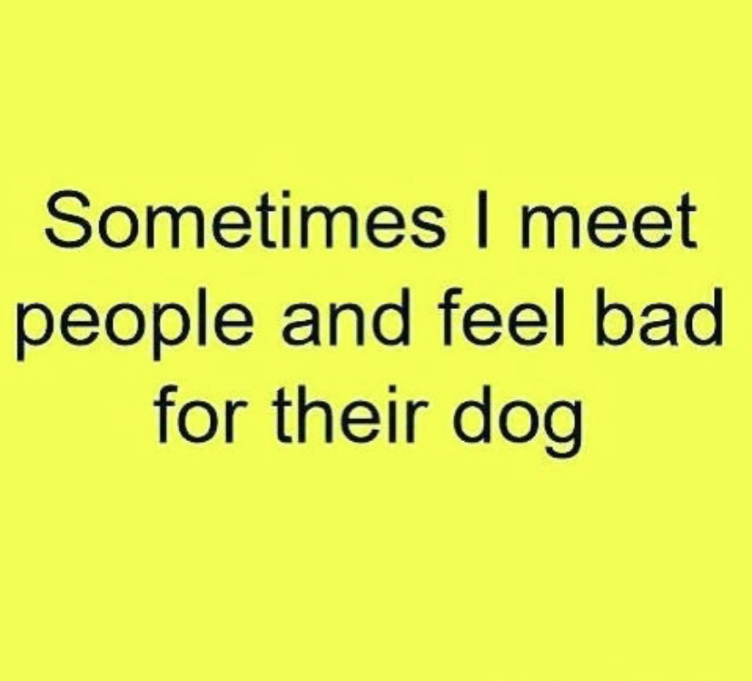 Sometimes meet people and feel bad for their dog