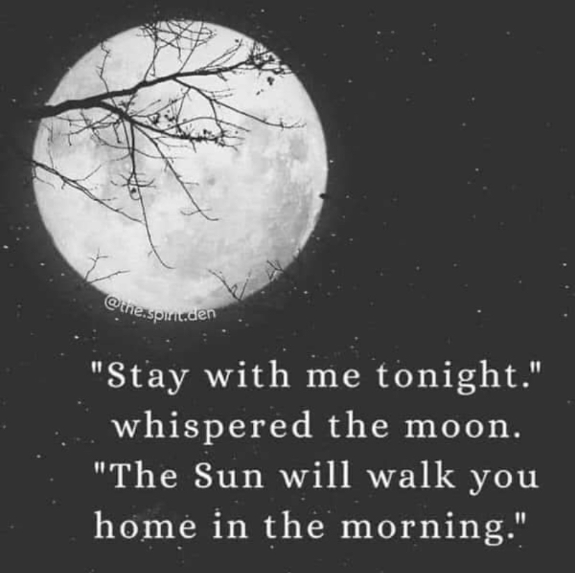 Stay with me tonight whispered the moon The Sun will walk you home in the morning