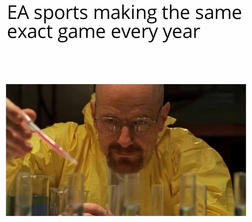 EA sports making the same exact game every year