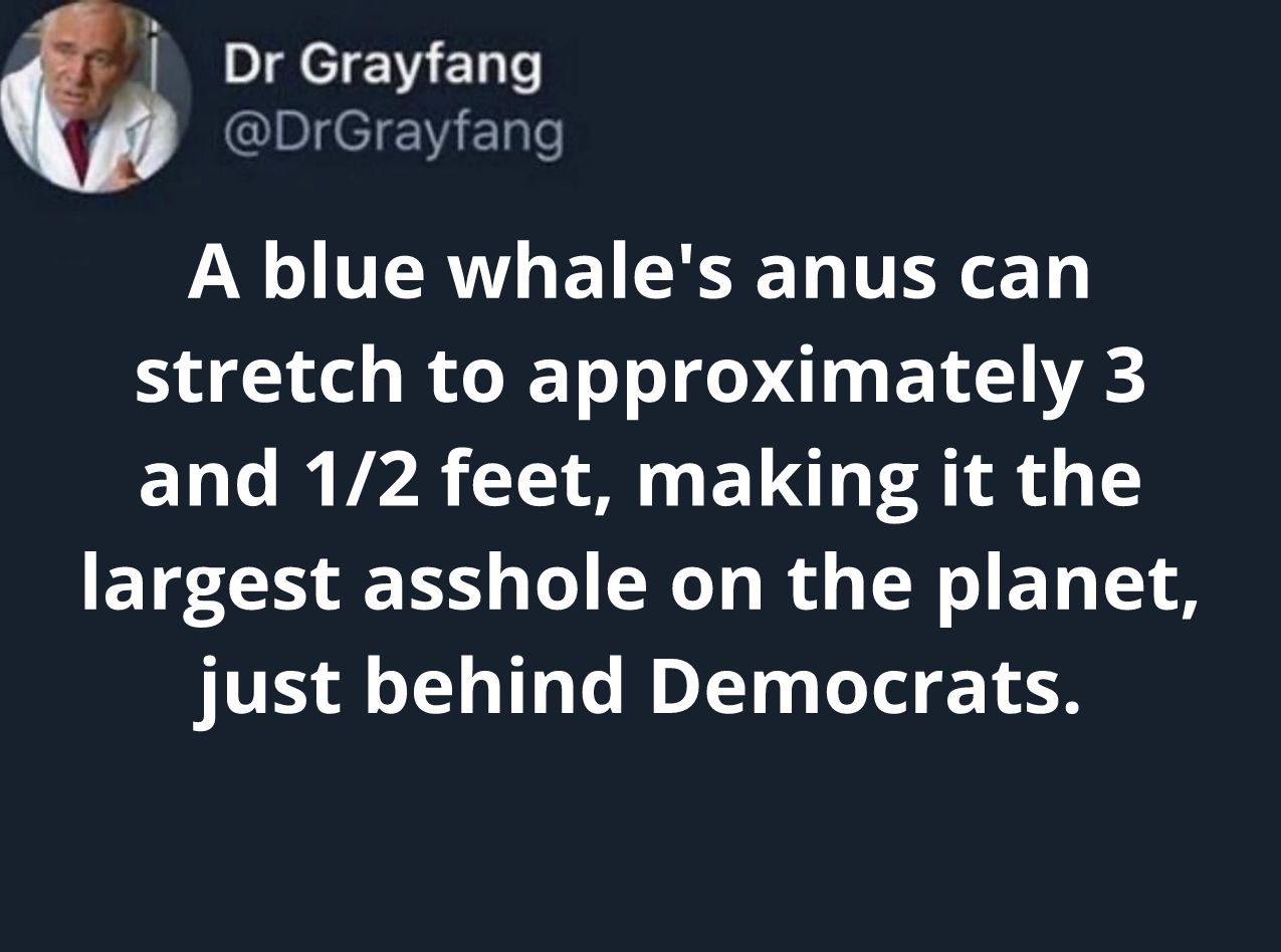 DIgeleERT DrGrayfang A blue whales anus can stretch to approximately 3 and 12 feet making it the largest asshole on the planet just behind Democrats