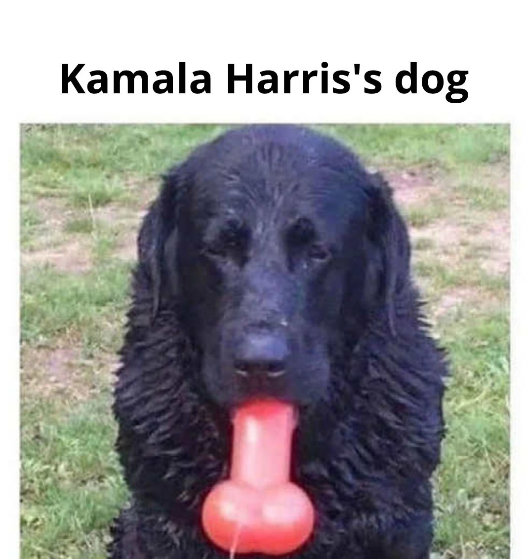 Kamala Harriss dog