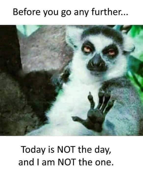 Before you go any further Today is NOT the day and am NOT the one