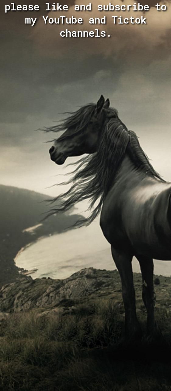 please like andSSUbSCribe t