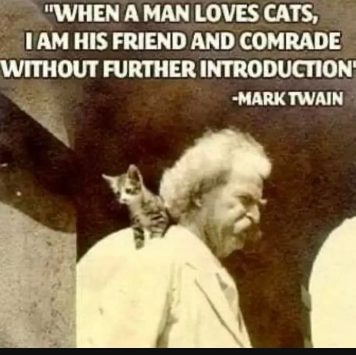 WHEN A MAN LOVES CATS 1AM HIS FRIEND AND COMRADE WITHOUT FURTHER INTRODUCTION MARK TWAIN