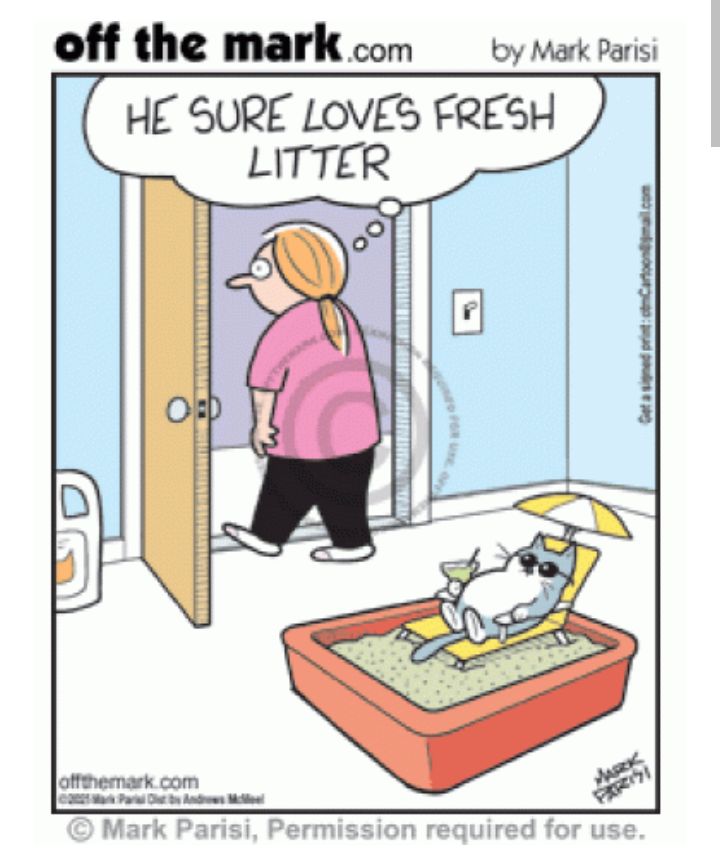 off the mark com o mark paris HE SURE LOVES FRESH LITTER