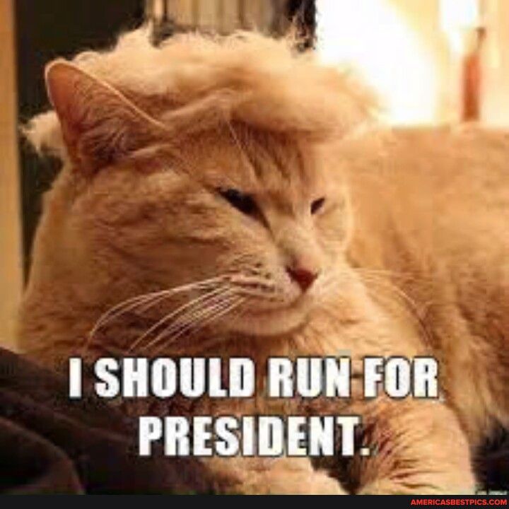 SHOULD RUNE pr S PRESIDENT 2