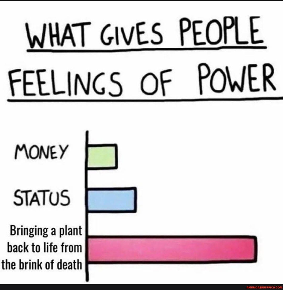 WHAT cives PEOPLE FEELINGS Of POWER MONEY STATUS Bringing a plant back to life from the brink of death