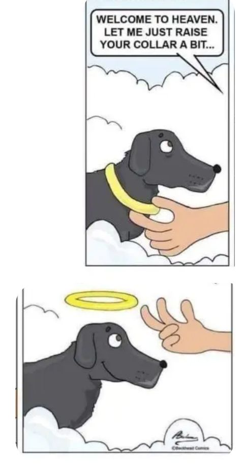 WELCOME TO HEAVEN LET ME JUST RAISE YOUR COLLAR A BIT