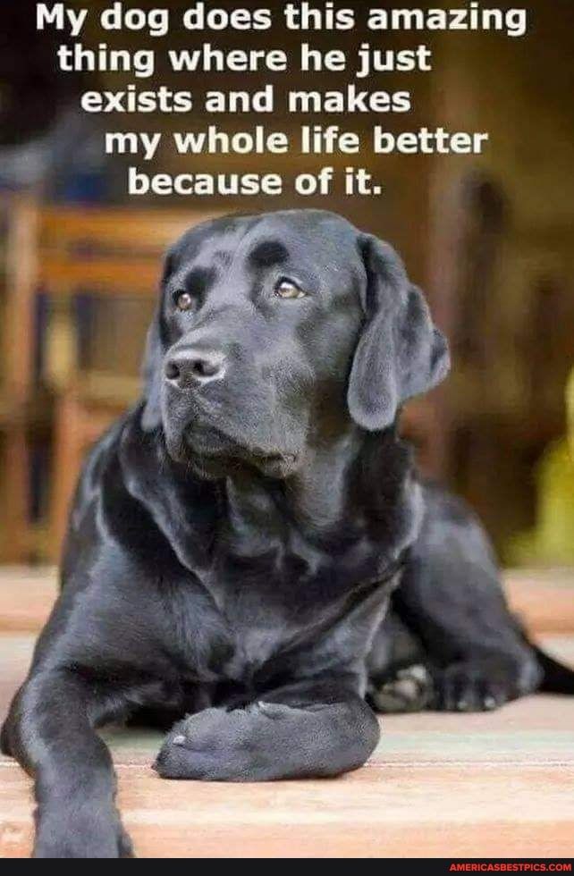 L A LT W LR G TR T P AT thing where he just OSSN LG ELCEH my whole life better because of it