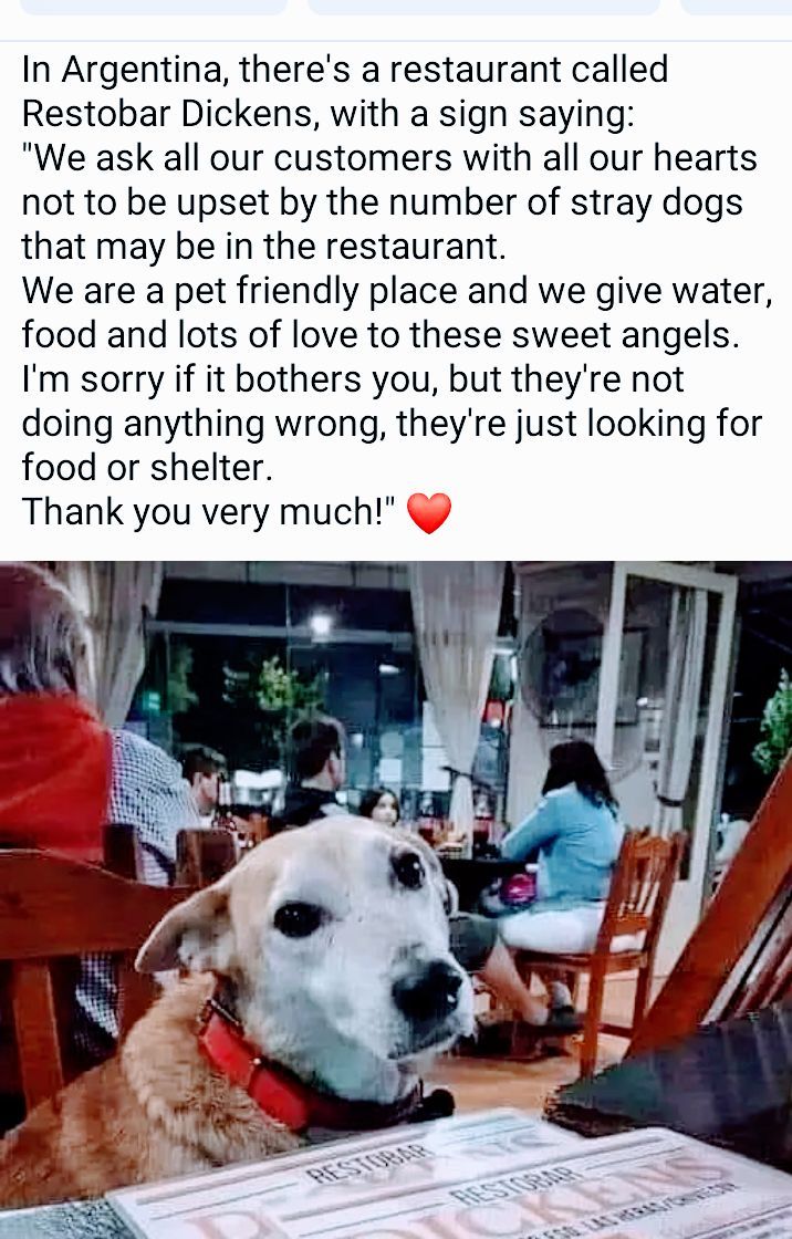 In Argentina theres a restaurant called Restobar Dickens with a sign saying We ask all our customers with all our hearts not to be upset by the number of stray dogs that may be in the restaurant We are a pet friendly place and we give water food and lots of love to these sweet angels Im sorry if it bothers you but theyre not doing anything wrong theyre just looking for food or shelter Thank you ve