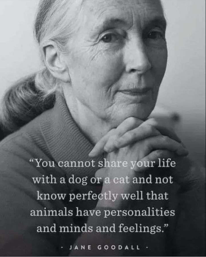 r life You cannot s with a dog o and not know perfe ell that animals have personalities and minds and feelings JANE GOODALL