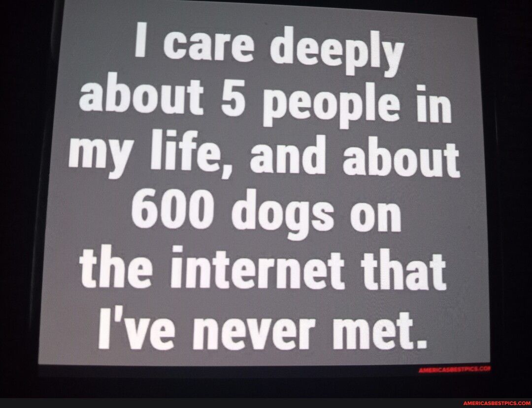 I care deeply EL LT TN P my life and about 600 dogs on the internet that Ive never met