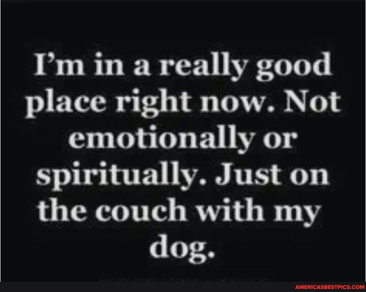 Im in a really good place right now Not emotionally or spiritually Just on the couch with my dog