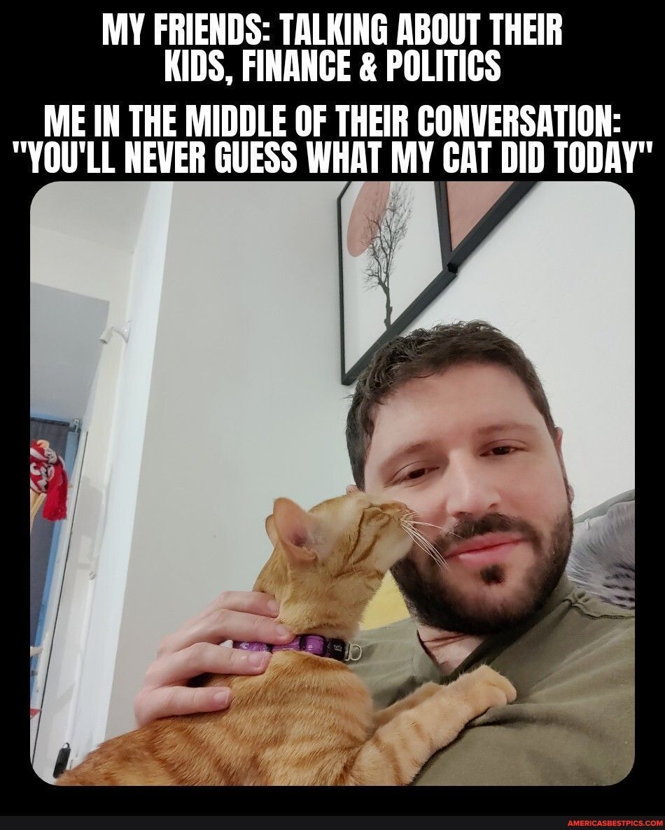 MY FRIENDS TALKING ABOUT THEIR KIDS FINANCE POLITICS ME IN THE MIDDLE OF THEIR CONVERSATION YOULL NEVER GUESS WHAT MY CAT DID TODAY Y