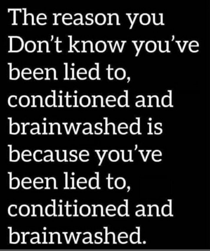 The reason you Dont know youve been lied to leqlehinleqlle V el brainwashed is because youve been lied to conditioned and brainwashed