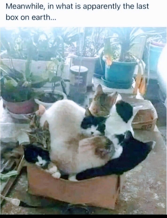 Meanwhile in what is apparently the last box on earth